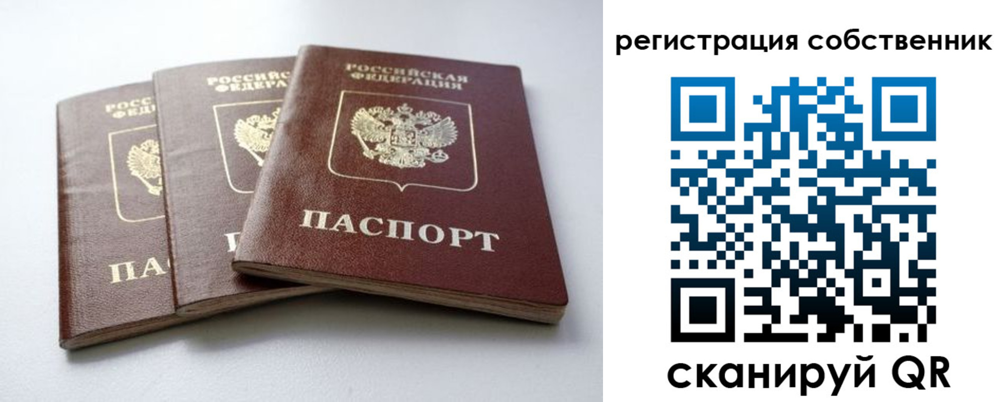прописка для школы в Кировске
